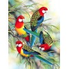 5000 Pièces Puzzle en Bois DIY bird,5000 3D Puzzle Coloré Meilleur Cadeau pour Adultes et Enfants le fini mesure 181 x 105 cm