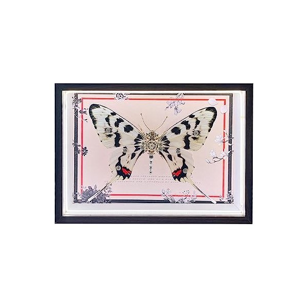 JoyMate Puzzle Mental 3D Adulte Déesse de la Lumière Papillon 3D Stéréoscopique DIY Métal Assemblé Insecte Modèle avec Cadre 