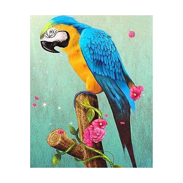 Puzzle 3D 5000 p - Parrot,5000 Jeu DIntelligence De comme Cadeau de Jeu le fini mesure 181 x 105 cm une fois terminé.