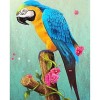 Puzzle 3D 5000 p - Parrot,5000 Jeu DIntelligence De comme Cadeau de Jeu le fini mesure 181 x 105 cm une fois terminé.