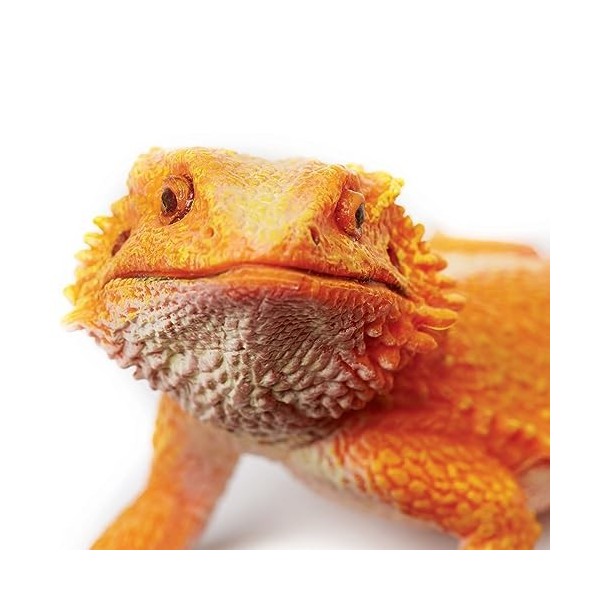 Toob- Bearded Dragon, 263129, Multicolore