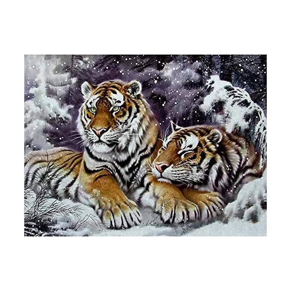 Puzzle Adulte 4000 Pièces Puzzle 3D tigre-4000 de Campagne Jouets Cadeaux éducatifs Pour les Vacances Pour la Famille et Les 