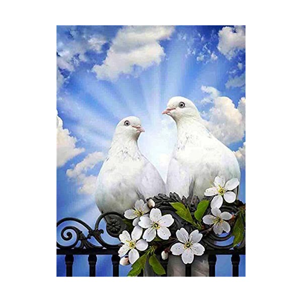 GBPR Puzzle Adulte 4000 Pièces Puzzle 3D Pigeon Puzzle pour Adultes Relax Puzzles Jeux