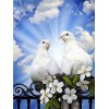 GBPR Puzzle Adulte 4000 Pièces Puzzle 3D Pigeon Puzzle pour Adultes Relax Puzzles Jeux