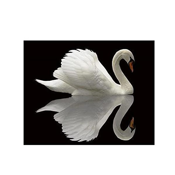 GBPR Puzzle Adulte 4000 Pièces Puzzle 3D Cygne Puzzle pour Adultes à partir de 14 Ans. Puzzles Jouet dintérieur