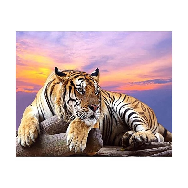 GBPR Puzzle Adulte 4000 Pièces Puzzle 3D Tigre Puzzles de Ballon à Air Chaud Convient aux Adolescents Adultes Puzzle Enfant R