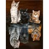 Puzzle Adulte 4000 Pièces Puzzle 3D Trois chats-4000 Puzzles de Ballon à Air Chaud Convient aux Adolescents Adultes Puzzle En