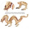 Dragon Chinois Figure Dragon Jouets Dragon Figurine Statue Jouet Dragons pour les Enfants de 3 Ans et Plus Dragon dor 