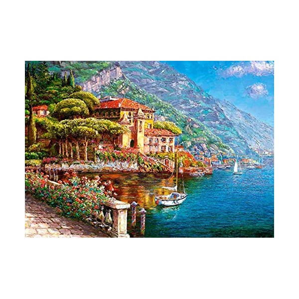 Puzzle Bois Adulte painting,6000 3D Puzzle Coloré Jeu Cadeau Unique Le fini mesure 218 x 105 cm une fois terminé.