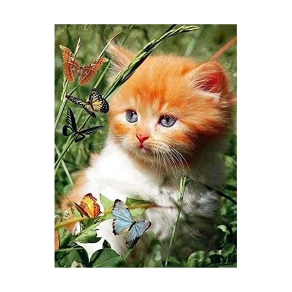 Puzzle Adulte 6000 Pièces kitten,6000 Puzzles en Bois Forme Animale Bricolage Puzzle 3D Décor À La Maison pour Le Moderne Art