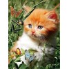 Puzzle Adulte 6000 Pièces kitten,6000 Puzzles en Bois Forme Animale Bricolage Puzzle 3D Décor À La Maison pour Le Moderne Art