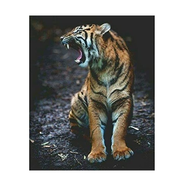 YJPZZG 4000 PièCes Puzzle Animal en Bois Tigre Puzzles 3D, Puzzles pour Enfants, DéCoration De Chambre, Cadeaux danniversair