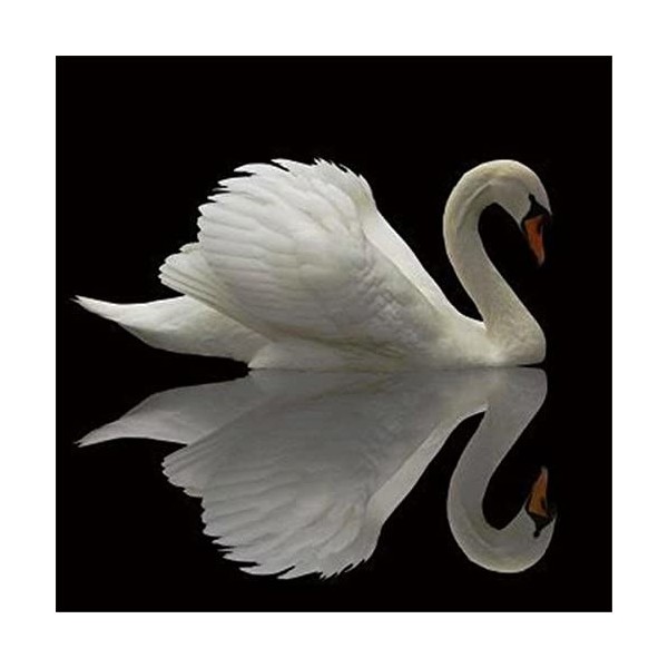 Puzzle 3D 1000 p -swan-4000 Puzzle Adultes Premium Puzzle dès 14 ans Puzzle en Bois DIY BoisDécoration Murale Domicile Art Ca