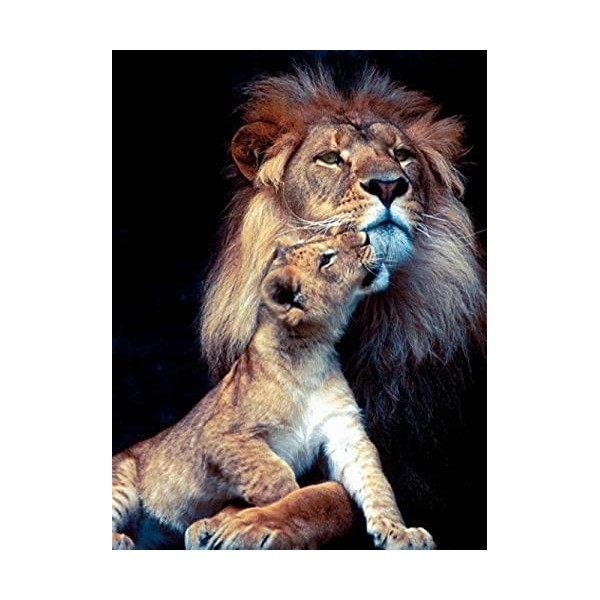 Puzzle 3D 1000 p -Lion-4000 de Campagne Jouets Cadeaux éducatifs Pour les Vacances Pour la Famille et Les Amis Relax Puzzles 