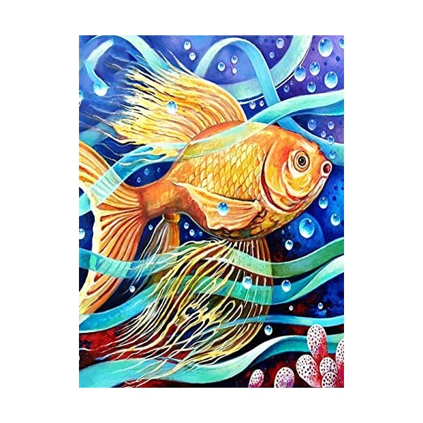 Puzzle 3D 1000 p -Fish-4000 Bonnes Collections et Cadeaux danniversaire Puzzle Gradient Difficile et Défi Jouet