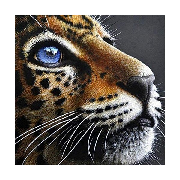 Puzzle 3D 1000 p -Tiger-4000 Jeu de Famille Jeu de Team Building Cadeau pour Les Amants ou Les Amis Relax Puzzles Jeux