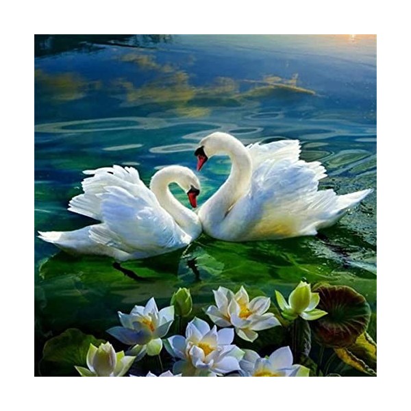 Puzzle 3D 1000 p -swan-4000 Jeu de Famille Jeu de Team Building Cadeau pour Les Amants ou Les Amis Puzzles Animaux Colorés