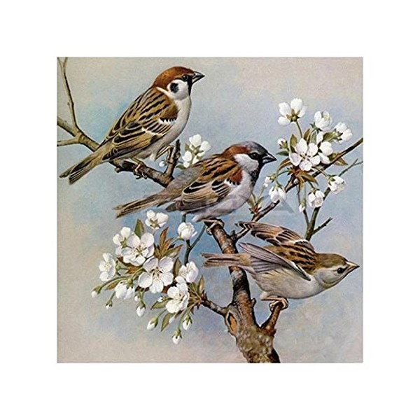 GBPR Puzzle Adulte 5000 Pièces Puzzle 3D Oiseau Éducatif de Soulagement du Stress pour Adultes Enfants Puzzle en Bois de Haut