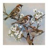 GBPR Puzzle Adulte 5000 Pièces Puzzle 3D Oiseau Éducatif de Soulagement du Stress pour Adultes Enfants Puzzle en Bois de Haut