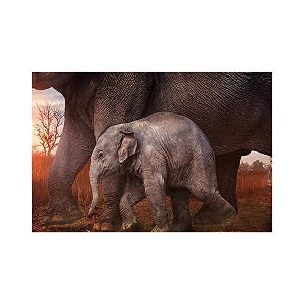 GBPR Puzzle Adulte 5000 Pièces Puzzle 3D léléphant pour Enfants et Adultes Cadeaux Puzzle en Bois de Haute qualité