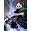 GBPR Puzzle Adulte 5000 Pièces Puzzle 3D Renard Éducatif de Soulagement du Stress pour Adultes Enfants Puzzle en Bois de Haut