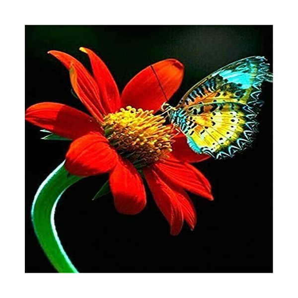 GBPR Puzzle Adulte 5000 Pièces Puzzle 3D Papillon Puzzle pour Adultes de Bricolage avec Impression Haute Définition pour Enfa