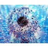 Puzzle Adulte 5000 Pièces Puzzle 3D Aquarelle Pissenlit Puzzles de Ballon à Air Chaud Convient aux Adolescents Adultes Puzzle