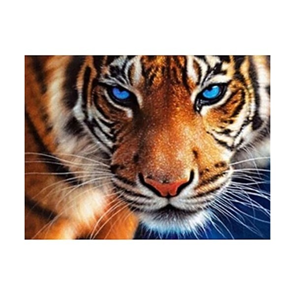 GBPR Puzzle Adulte 5000 Pièces Puzzle 3D Tigre Jeu de Famille Jeu de Team Building Cadeau pour Les Amants ou Les Amis de Bric