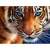 GBPR Puzzle Adulte 5000 Pièces Puzzle 3D Tigre Jeu de Famille Jeu de Team Building Cadeau pour Les Amants ou Les Amis de Bric