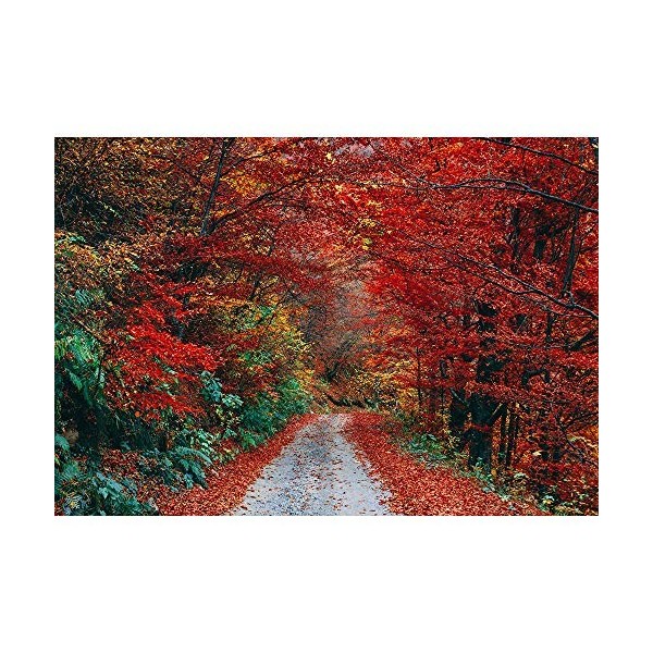 sans marque Jigsaw Puzzle, 500/1000/1500/2000/3000/4000/5000 Piece, Dense Rouge Feuillue Forêt, Cadeau Bricolage Jouet en Boi