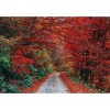 sans marque Jigsaw Puzzle, 500/1000/1500/2000/3000/4000/5000 Piece, Dense Rouge Feuillue Forêt, Cadeau Bricolage Jouet en Boi