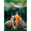 Puzzle Puzzles pour Adultes Puzzles 5000 piècesOiseauPuzzles en Bois pour Adultes, Puzzles en Forme danimaux en Bois, Puzzle