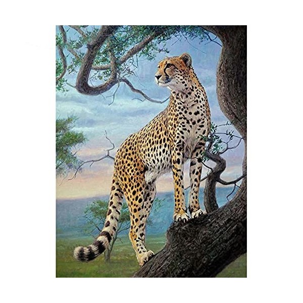 Puzzle Puzzles pour Adultes Puzzles 5000 pièceslever du soleilPuzzle en Bois pour Adultes et Enfants Parfait comme décor à la