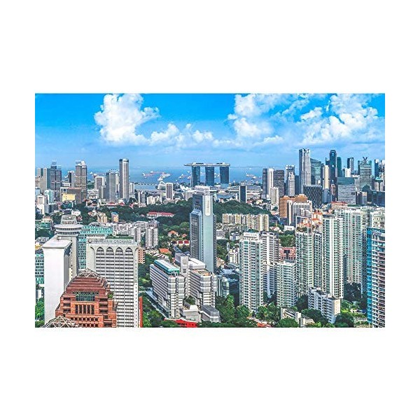 Bria Singapour Ville Puzzle 500/1000/1500/2000/3000/4000/5000/6000 Adultes Jouets for Enfants Puzzle Game Cadeau 0727 Color 