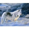 5000 pièces de Puzzles pour Adultes Loup-5000 Puzzles 5000 pièces pour Adultes ou Enfants Puzzle pour Enfants et Adultes Cade