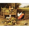 WYDMA Puzzle Unique De 5000 PièCes Vieille Poule IdéEs De Cadeaux Uniques Et Originaux pour Soulager Le Stress - Puzzles Clas