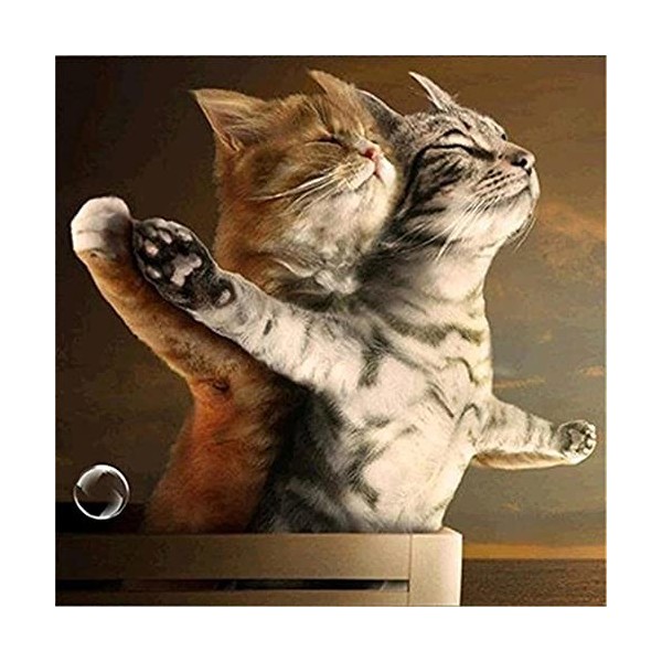 Wooden Puzzles 5000 piecesCat-5000Wooden Puzzle for Adults and Kids Perfect As Home Decor Or Model Kits for The Family