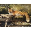 WYDMA Puzzle Unique De 5000 PièCes Renard IdéEs De Cadeaux Uniques Et Originaux pour Soulager Le Stress - Puzzles Classiques 