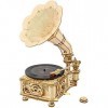 Gramophone classique en bois 3D à monter soi-même, kit de construction de maquette en bois, jouet cadeau pour adulte, jeu de 