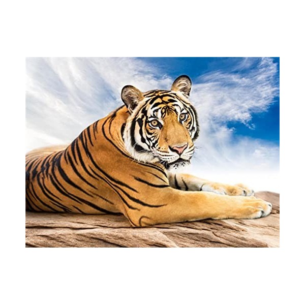 Puzzle 3D 1000 p -Tiger-4000Puzzle 3D Abstrait jeu de pose coloré jeu dadresse pour toute la famille