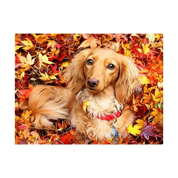 Puzzle 3D 1000 p -Dog under the leaves-4000Puzzle 3D Abstrait Puzzle Gradient Difficile et Défi Jouet