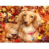 Puzzle 3D 1000 p -Dog under the leaves-4000Puzzle 3D Abstrait Puzzle Gradient Difficile et Défi Jouet