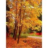 Puzzle 3D 1000 p -Landscape painting-40003D Puzzle Coloré Jeu Interactif Familial Puzzle éducatif Adulte Ensembles de Puzzle 