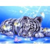 Puzzle 3D 1000 p -Little Tiger-4000 Puzzle Difficile et DéfiCadeau de Éducatifs Créatifs pour Développement Intellectuel et D