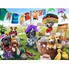 Puzzle 3D 1000 p -animal world-4000 Puzzles de Ballon à Air Chaud Convient aux Adolescents Adultes Puzzle Enfant Jeu de Famil