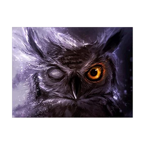 Puzzle 3D 6000 p - owl,6000 Puzzle 3D Abstrait Salon Décoration De La Maison Cadeau Le fini mesure 218 x 105 cm une fois term