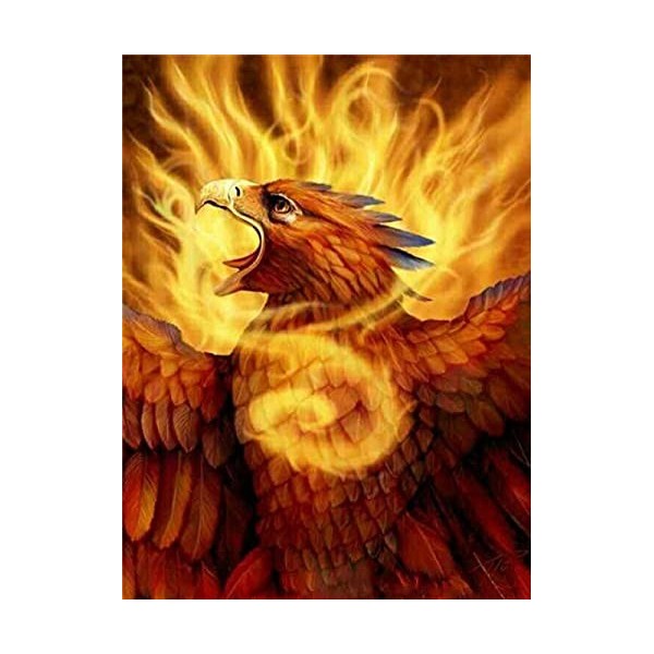 Puzzle 3D 1000 p -flaming Phenix-4000 Bonnes Collections et Cadeaux danniversaire Puzzle Gradient Difficile et Défi Jouet