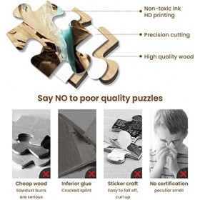 Puzzle für Erwachsene von 5000 Stüc Puzzle 5000 Pièces Classique Kit Bricolage Jouet en Bois Cadeau Unique Décor À La Maison-