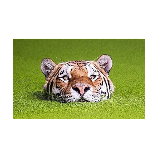 Puzzle Adulte 5000 Pièces Classique Kit Bricolage Jouet en Bois Cadeau Unique Décor À La MaisonTigre de natation-5000Pièces