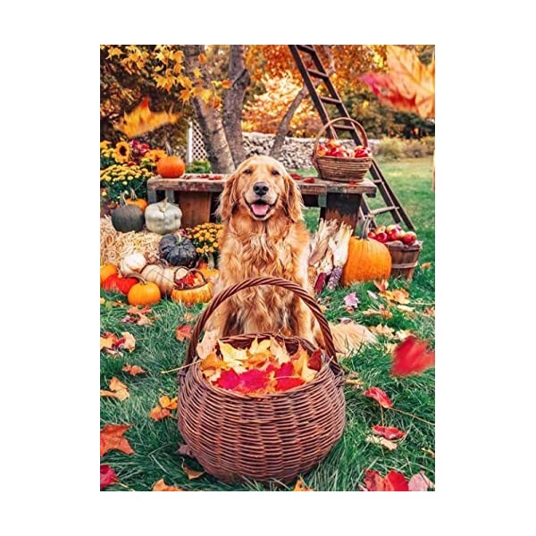 Puzzle Adulte 5000 Pièces Classique Kit Bricolage Jouet en Bois Cadeau Unique Décor À La Maison chien-5000Pièces